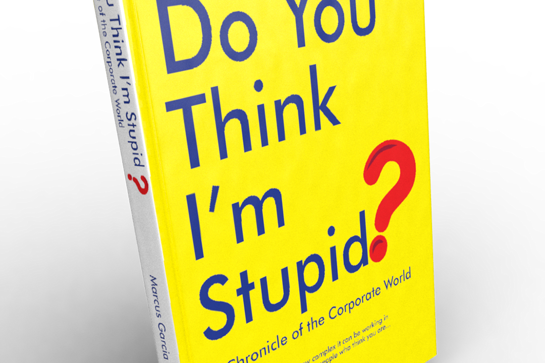 do-you-think-i-m-stupid-some-facts-about-this-new-book-editora-ide-rio